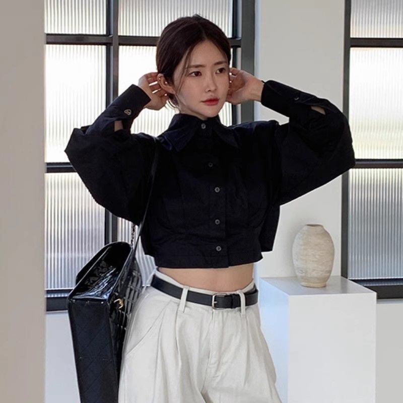 Sophie Collared Cropped Top